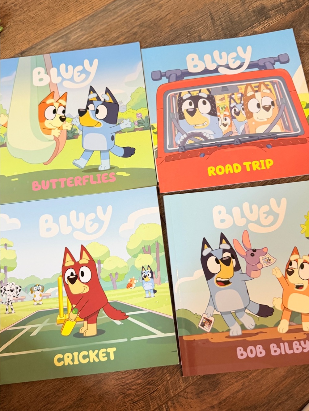 Bluey Books